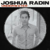 Joshua Radin - The Willow